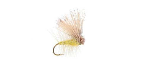 Elk Hair Caddis - Yellow 6 Pack CLOSEOUT